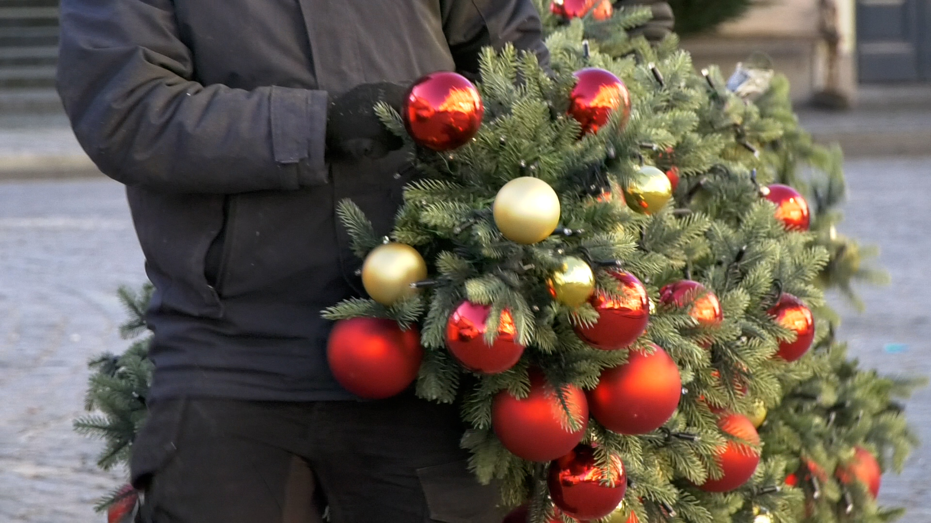 Vijf meter hoge kerstboom voor het goede doel in het Markiezenhof