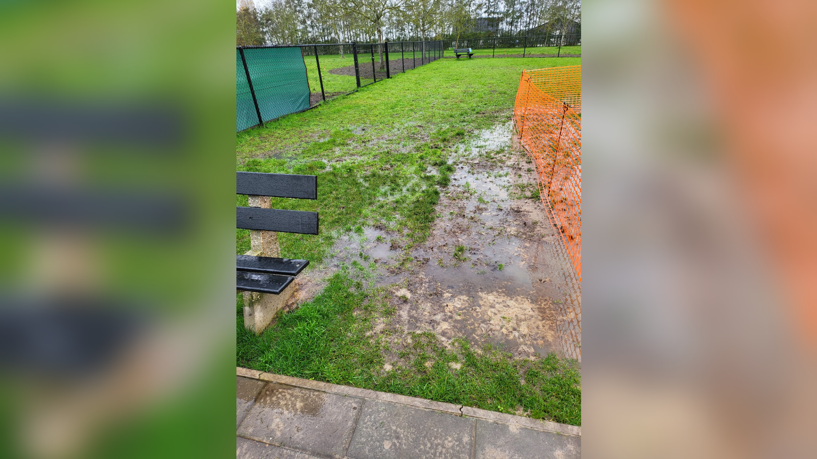 Het veld is al maanden kletsnat (foto: Marion Heijnen)